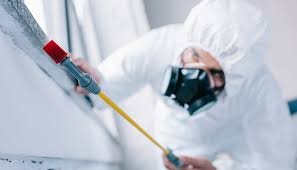 Best Fumigation Services  in Elsa, TX